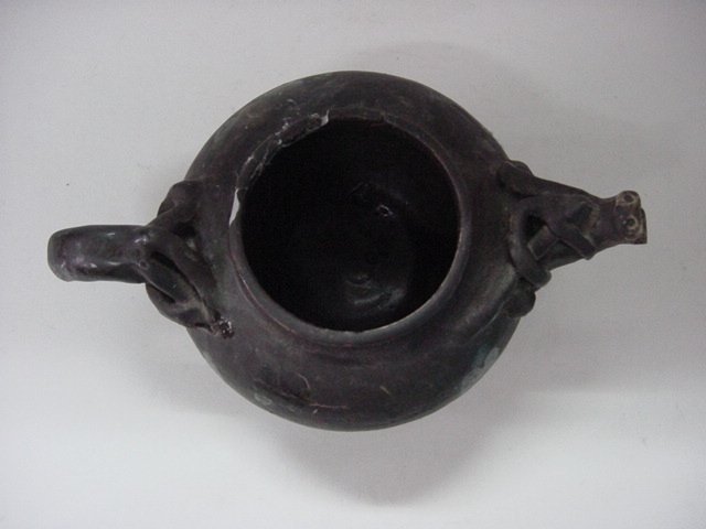 동물문흑유주자