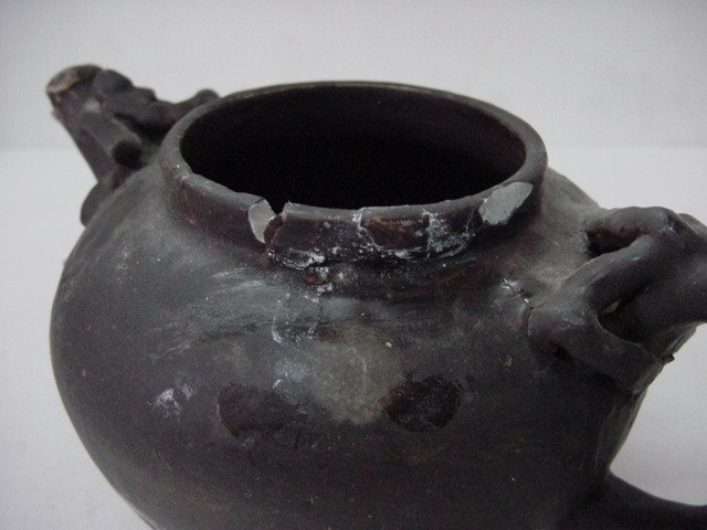 동물문흑유주자