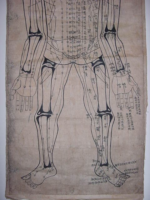 인체도(人體圖) 2장