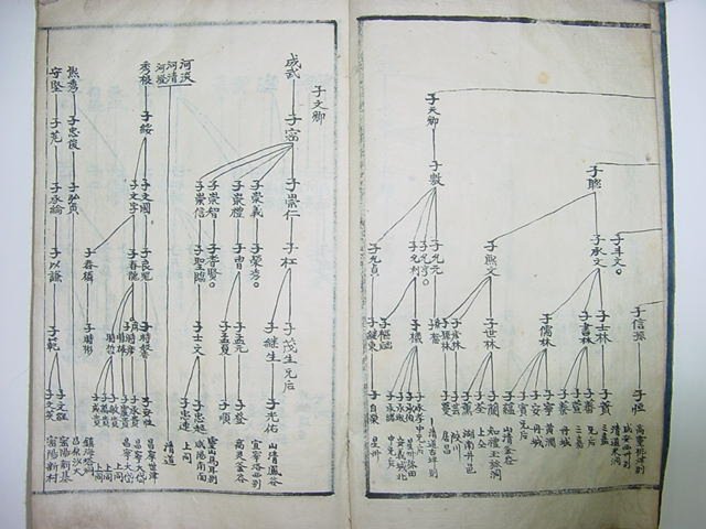 밀성박씨세보(密城朴氏世譜) 1책