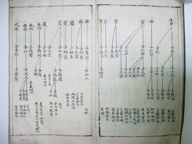 밀성박씨세보(密城朴氏世譜) 1책