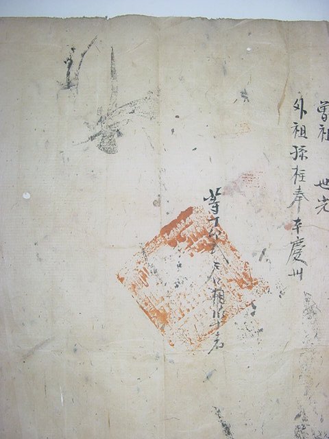 장내동양동면(帳內東良洞面)호구단자(戶口單子)1장