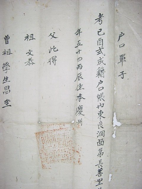 경주김씨인 김완진(金完辰)호적단자 1장
