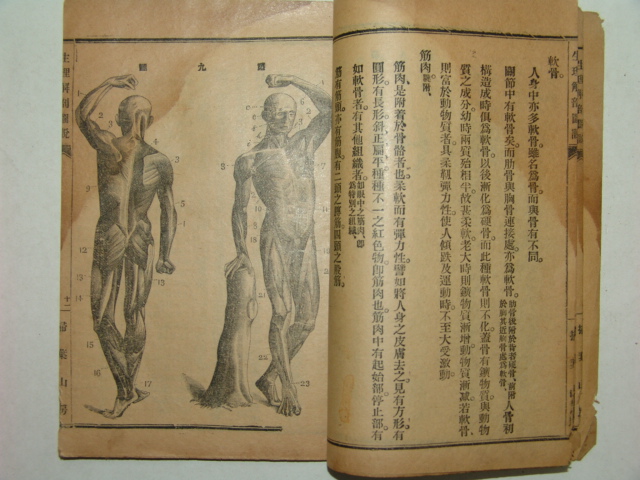 생리해부도(生理解部圖)1책