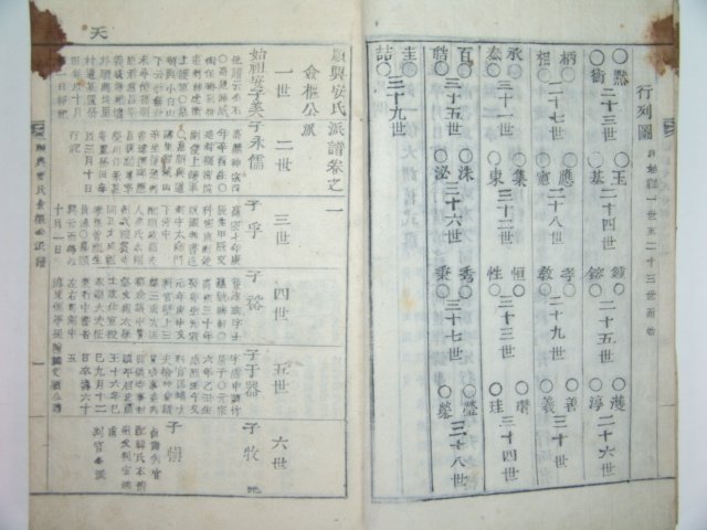 순흥안씨첨추공파보(順興安氏僉樞公派譜)1책완질