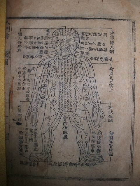 편주의학입문(編註醫學入門) 권1 1책