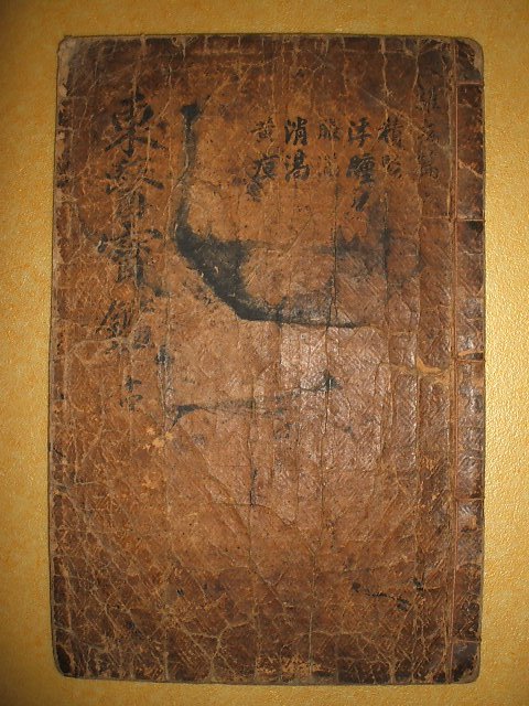 동의보감잡병편(東醫寶鑑雜病篇)권6 1책 허준(許浚)