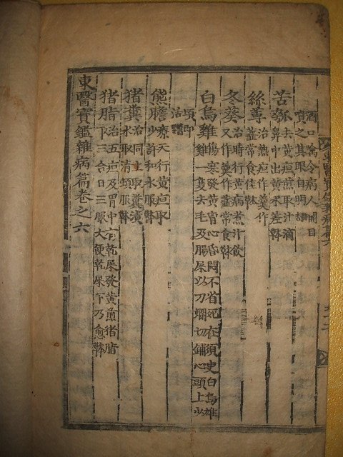 동의보감잡병편(東醫寶鑑雜病篇)권6 1책 허준(許浚)