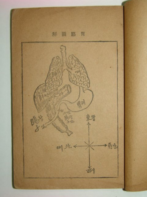 1926년 속수화어회화집(速修華語會話集) 백송계(白松溪)