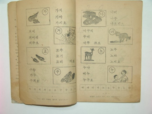 1962년 한글공부-재건국민운동본부