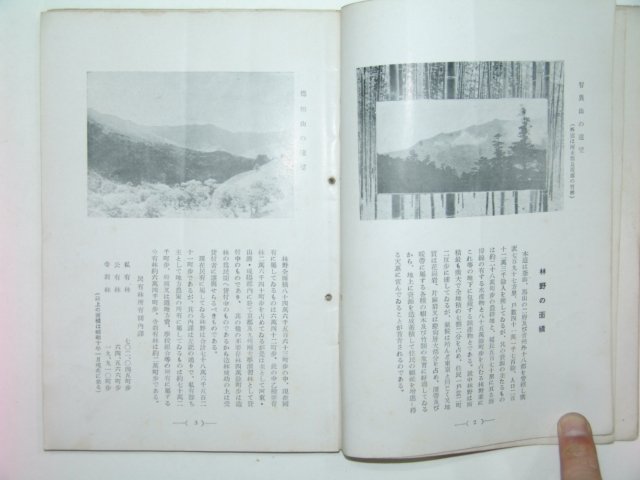 1935년 경남의 임업