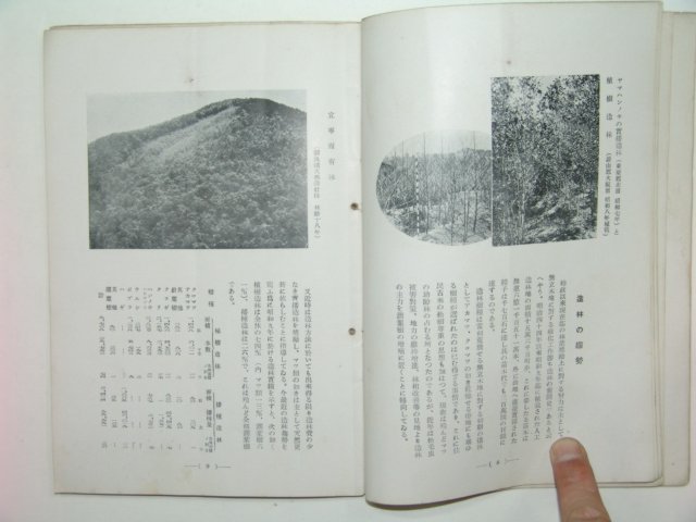 1935년 경남의 임업