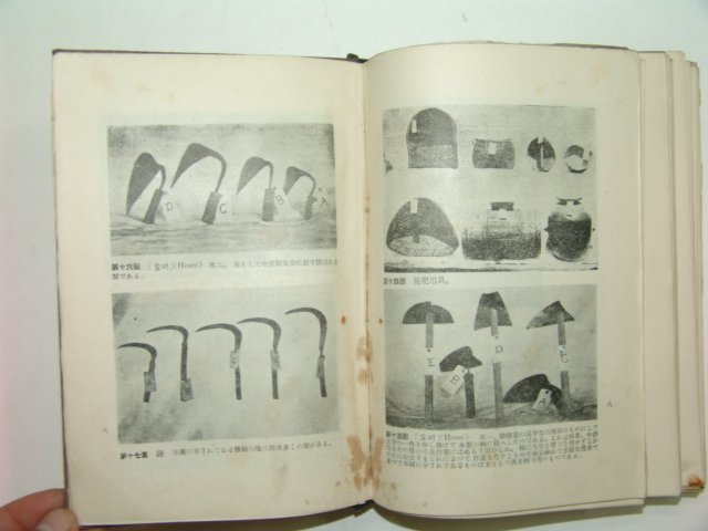 1933년 조선사회경제사