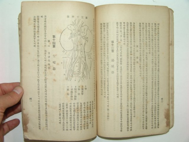 1916년 의생교과서(醫生敎科書)