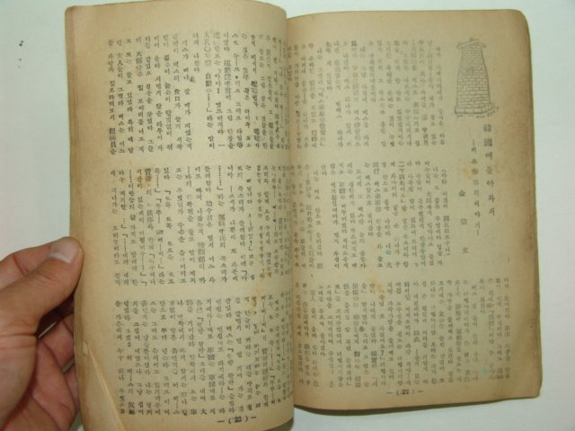 1953년 남십자리(南十字里)