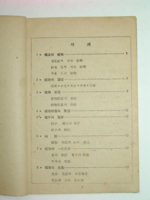 1946년 중등식물(中等植物)