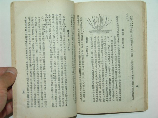 1930년 최신개량양잠법