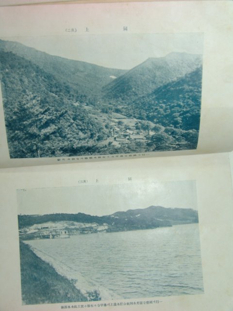 1931년 전남산림회보(全南山林會報) 제7호 언문