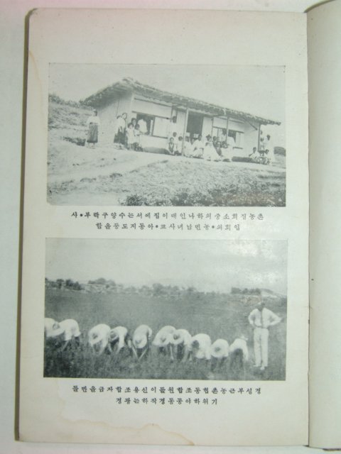 1932년 정말국민고등학교(丁抹國民高等學校) 박인덕