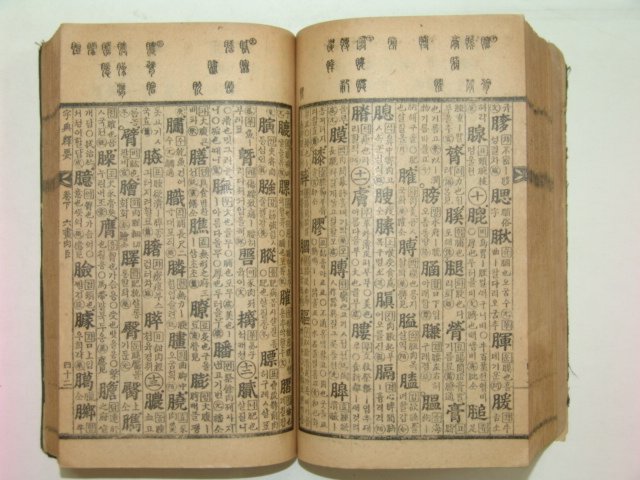 1928년 자전석요(字典釋要) 지석영(池錫永)