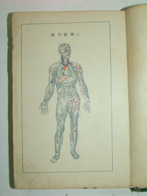 1936년 최신침구안마학강의(最新鍼灸按摩學講義)