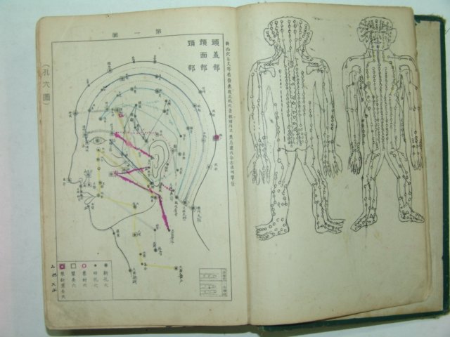 1936년 최신침구안마학강의(最新鍼灸按摩學講義)