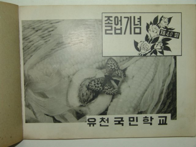 1974년 유천국민학교 제40회 졸업앨범
