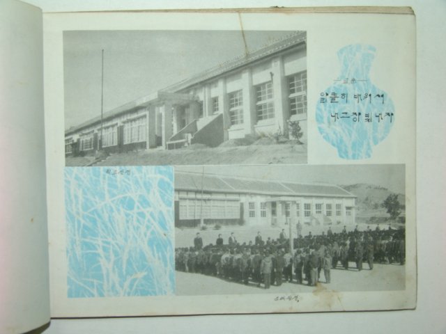 1968년 도천국민학교 제31회 졸업앨범