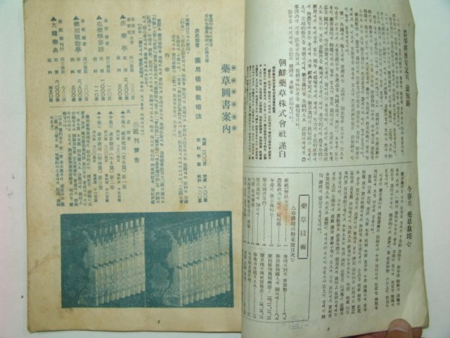 1960년 약초기술(藥草技術) 창간호