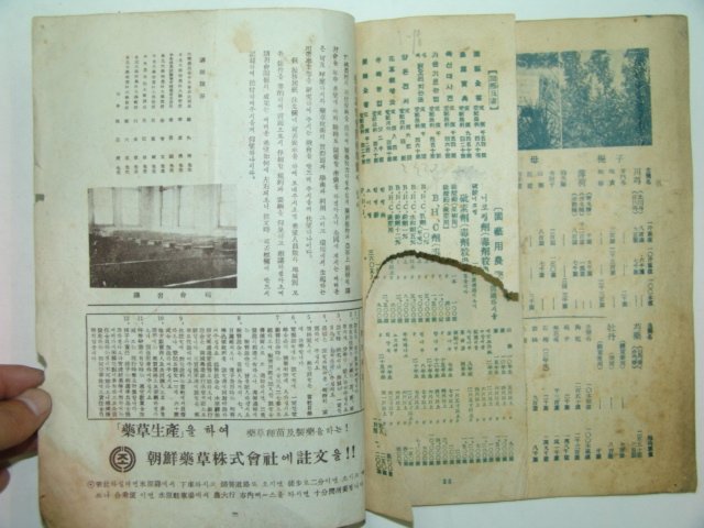1960년 약초기술(藥草技術) 창간호