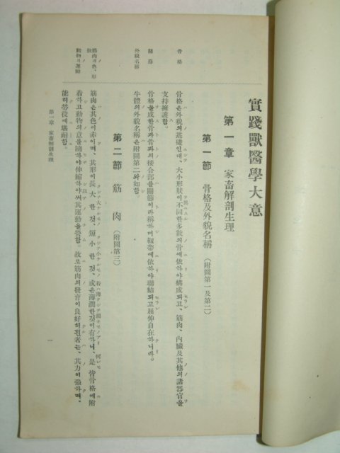 1932년 실천수의학대의(實踐獸醫學大要)