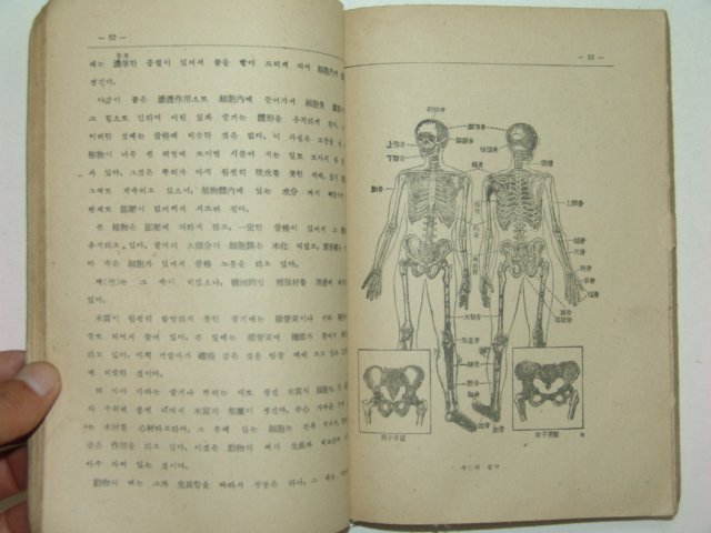 1947년 중학교 자연과학(생물편) 1