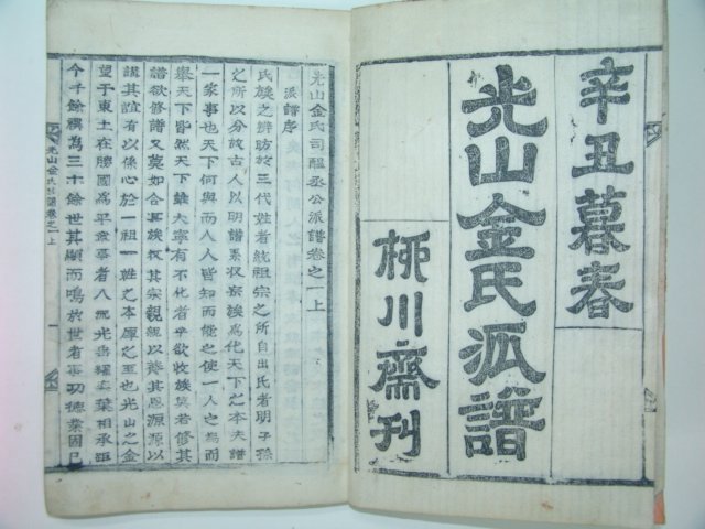 1901년 목활자본 광산김씨사온승공파보 2책완질