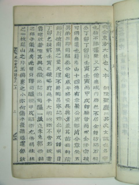 1901년 목활자본 광산김씨사온승공파보 2책완질