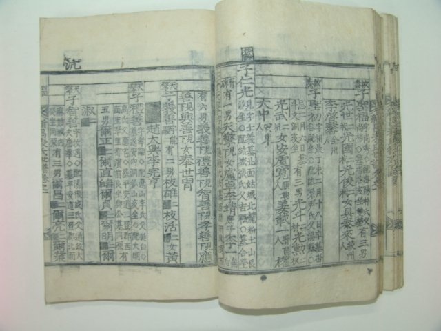 조선시대 목판본 신창표씨세보(新昌表氏世譜) 5책완질