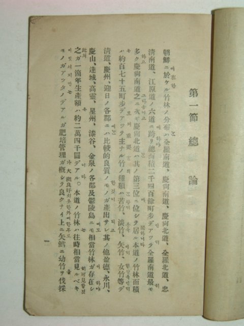 1924년 경상북도 죽림조성(竹林造成)