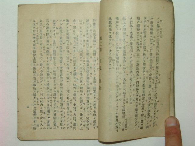 1924년 경상북도 죽림조성(竹林造成)