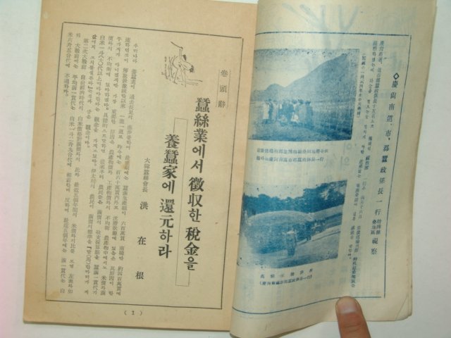 1955년 잠사보(蠶絲報) 제4권4호