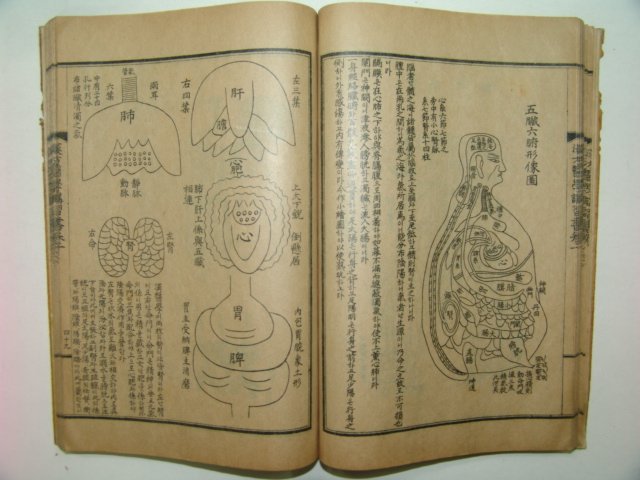 1933년 한방의학강습서 권1,2 池錫永사진수록