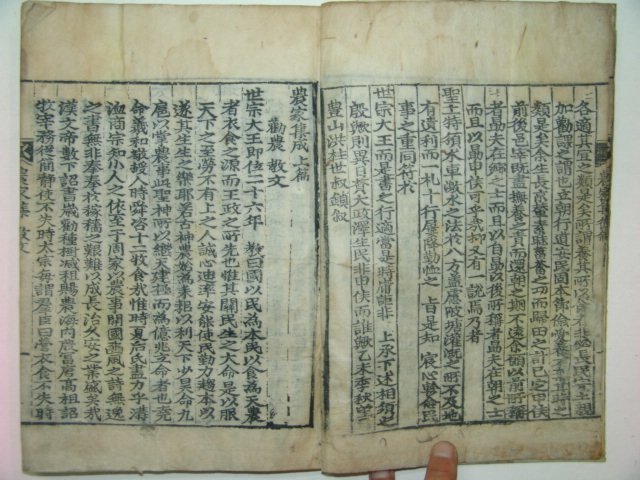 1806년 목판본간행 농가집성(農家集成)1책완질