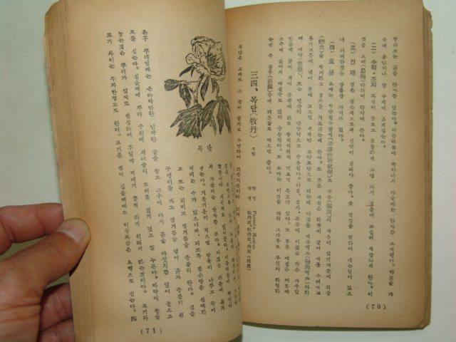 1954년초판 약초재배의지식 1책완질