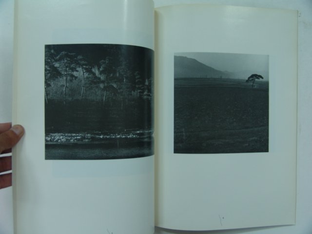 1993년 배병우 소나무사진전