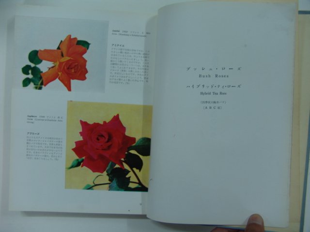 소화31년 장미세상(Roses of the World)일본판