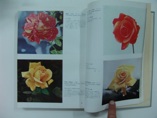 소화31년 장미세상(Roses of the World)일본판