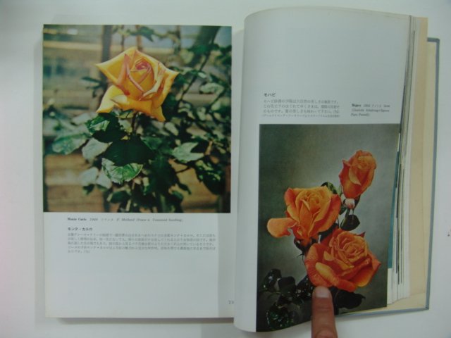 소화31년 장미세상(Roses of the World)일본판