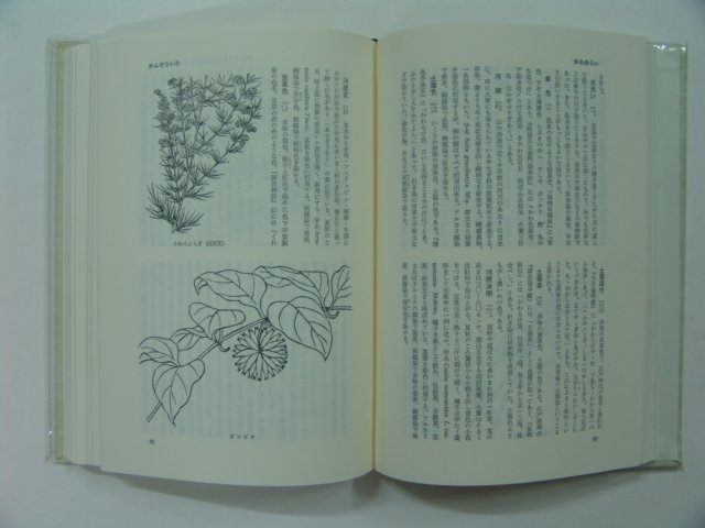 평성6년 초목염사전(일본판)