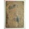 1799년 필사기가있는 염락풍아 1책완질