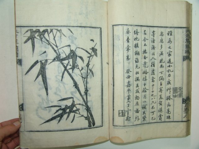 1921년 목판본간행 신선대방초간독(撰大方草簡牘) 1책