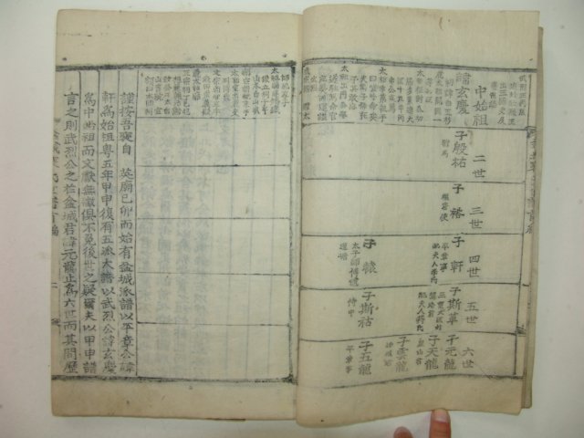 1922년 인보목활자간행 분성배씨세보(盆城裵氏世譜)9책완질