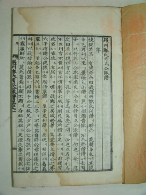 석판본간행 나주정씨사정공파보(羅州鄭氏司正公派譜)2책완질
